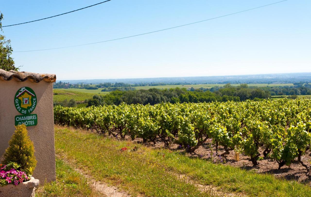 Domaine Des Marrans Bed & Breakfast Фльори Екстериор снимка